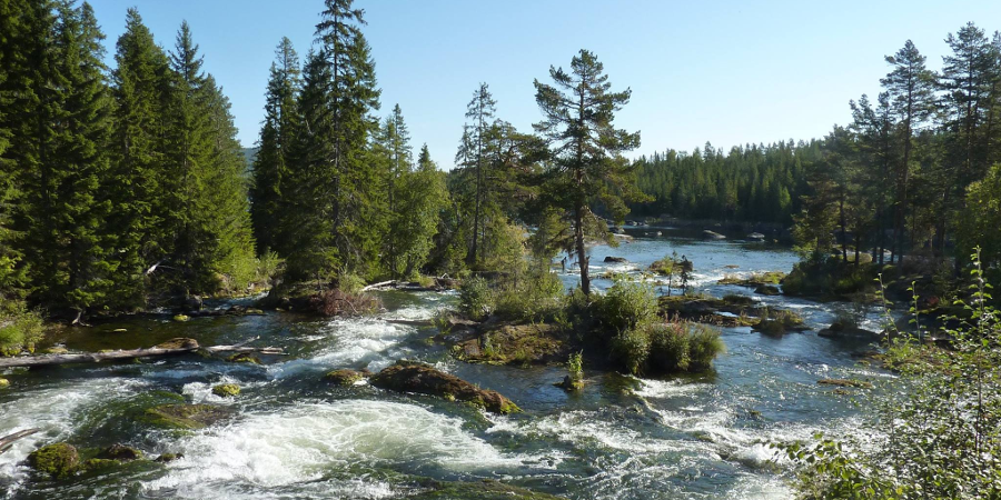 Beeldschone Zweedse natuur met wilde rivier