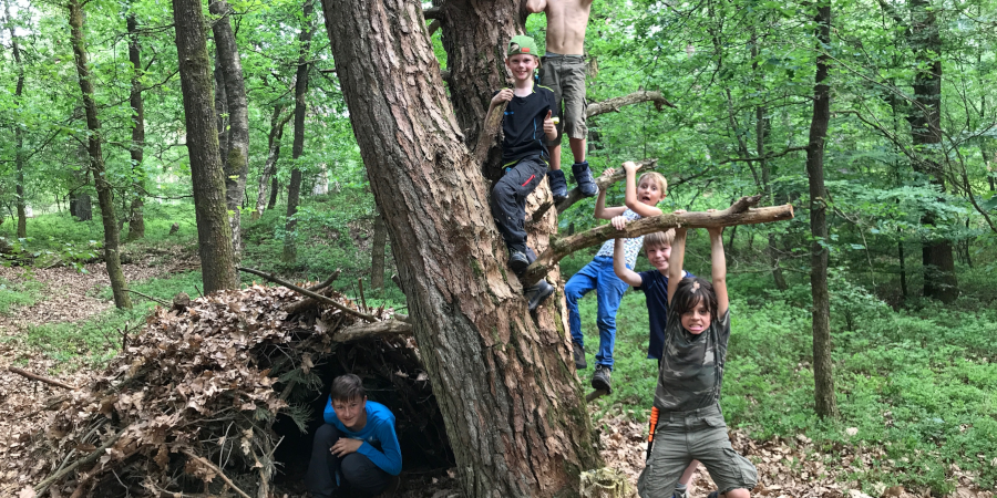 Kinderen klimmen in een boom