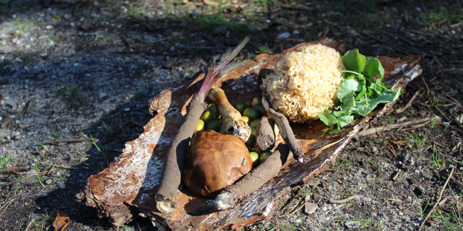 Eten uit de natuur